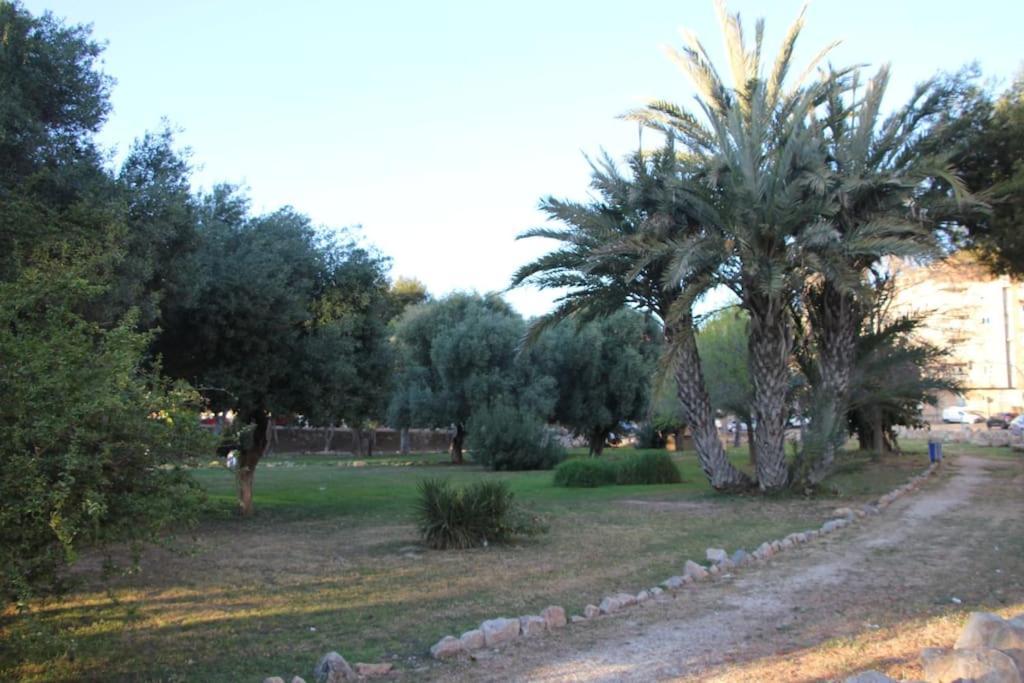 Apartmán Tesoro Del Eden Torrevieja Exteriér fotografie